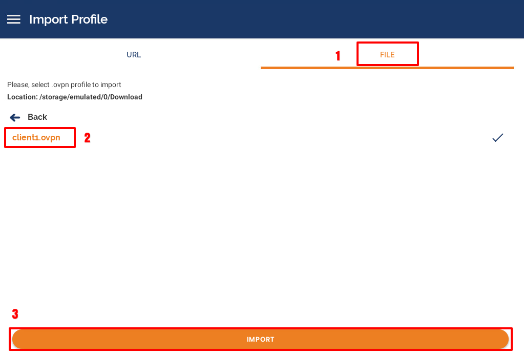 openvpn