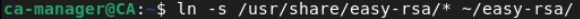 openvpn