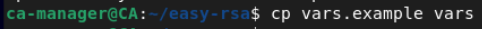 openvpn