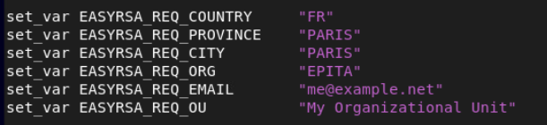 openvpn