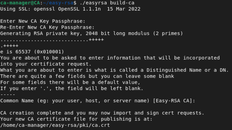 openvpn