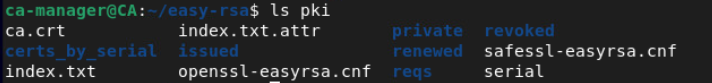 openvpn