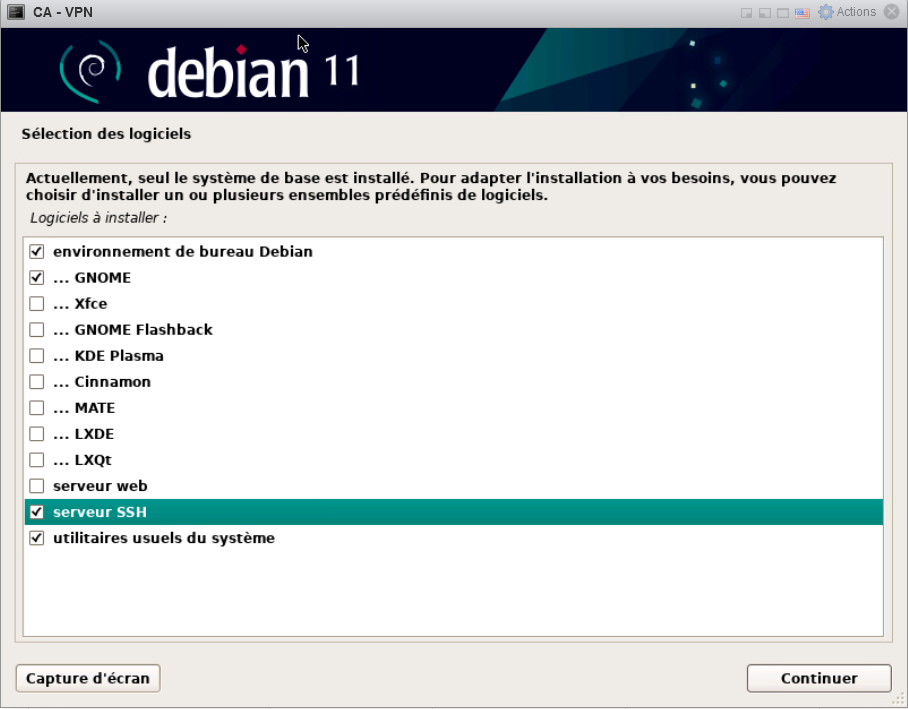 openvpn