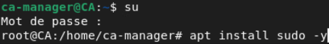 openvpn