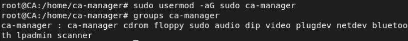 openvpn