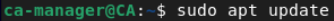 openvpn