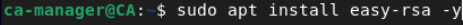 openvpn