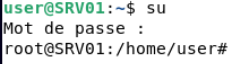 openvpn
