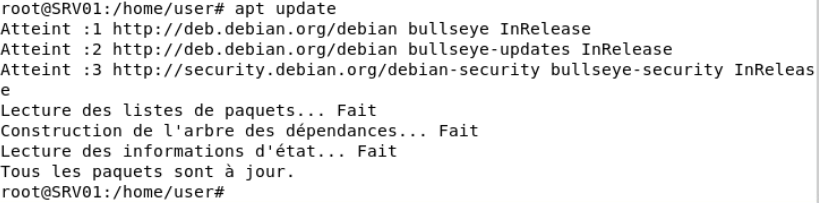 openvpn