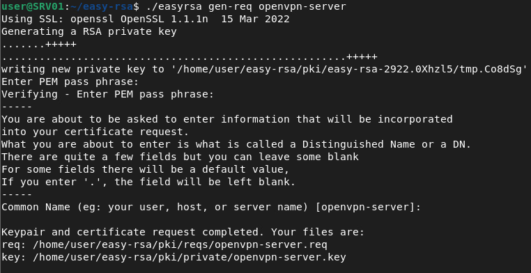 openvpn