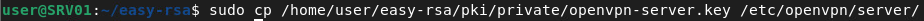 openvpn