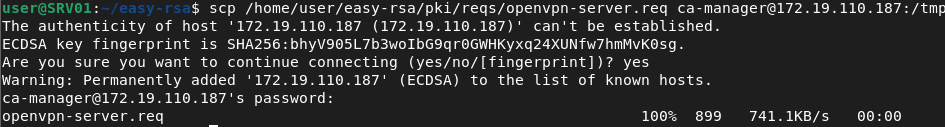 openvpn