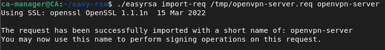 openvpn