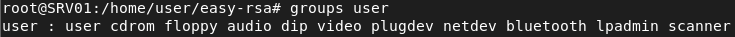openvpn