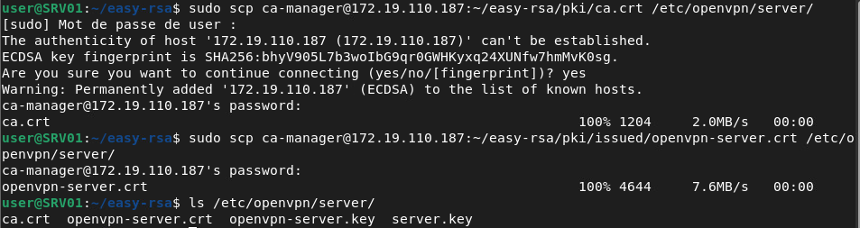openvpn