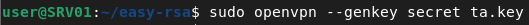 openvpn