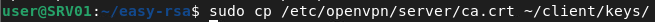 openvpn
