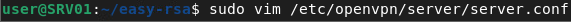 openvpn