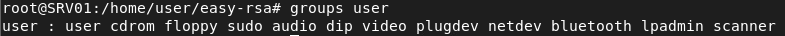 openvpn