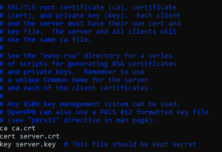 openvpn