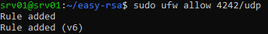 openvpn