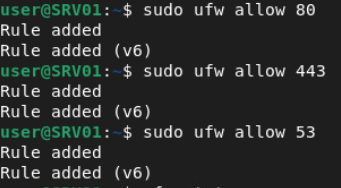 openvpn