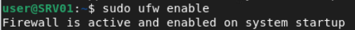 openvpn
