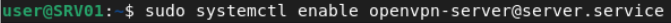 openvpn