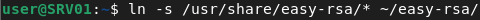 openvpn
