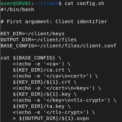 openvpn