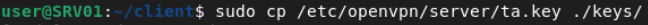 openvpn