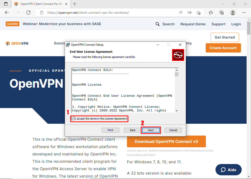 openvpn