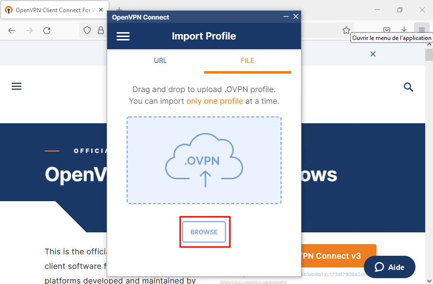 openvpn