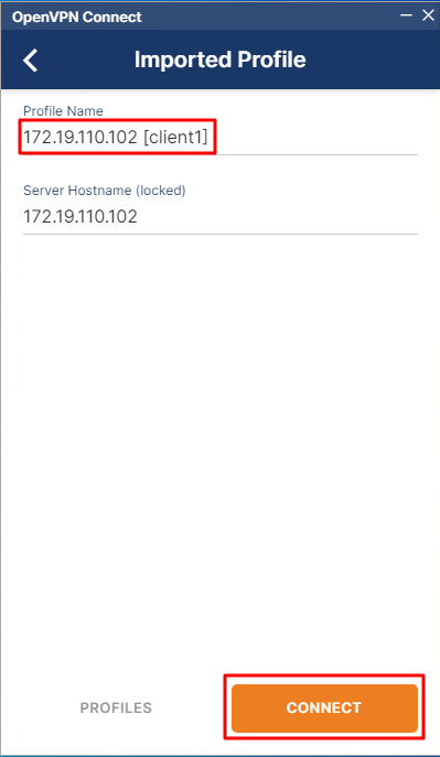 openvpn